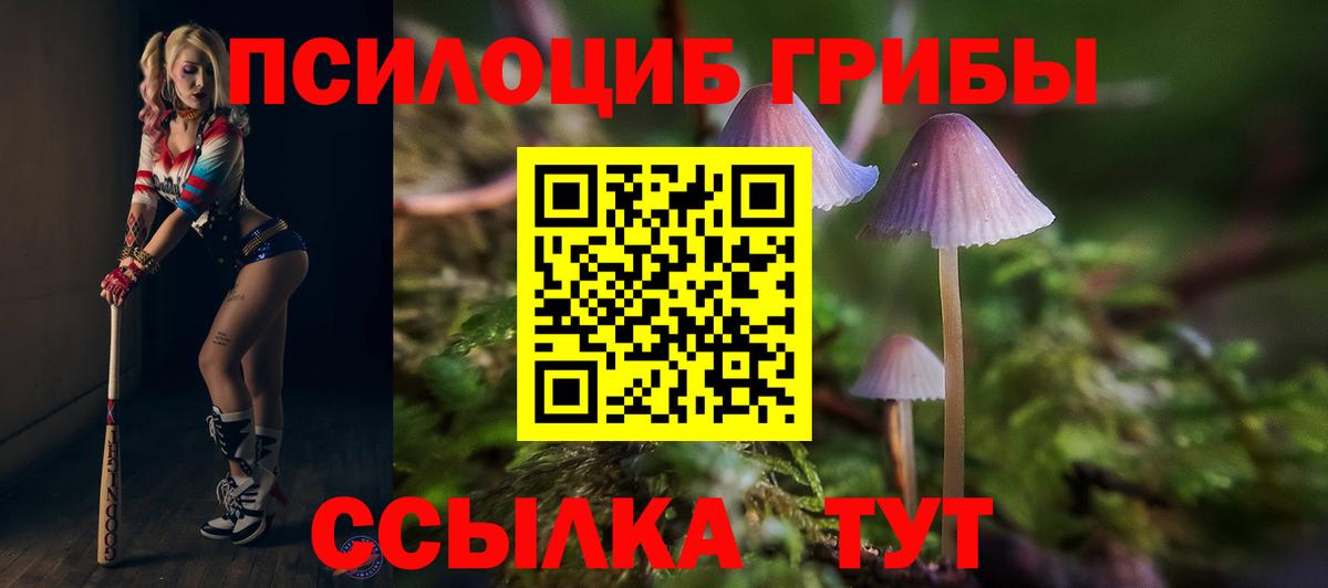 Псилоцибиновые грибы Psilocybine cubensis  наркотики  Среднеуральск  Вход с VPN 